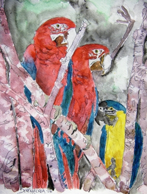 3 parrots aceo wildlife bird watercolor painting
