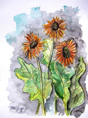 african daisy flower watercolor painting