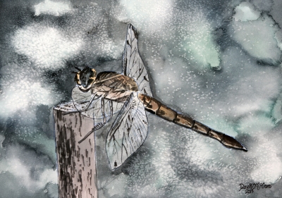 dragonfly painting