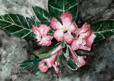 flower paintings