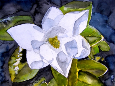 magnolia flower painting