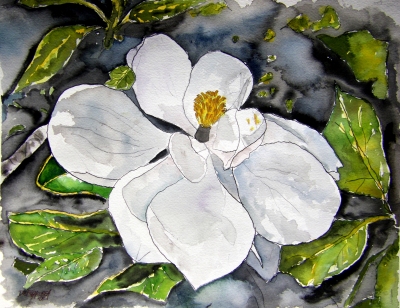 magnolia flower still life painting