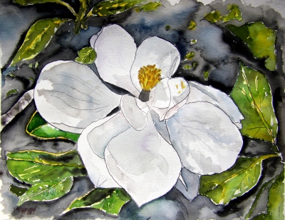 magnolia flower painting