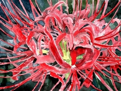 red flower paintings