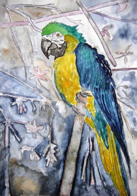 parrot bird art print