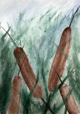 still life art cattails