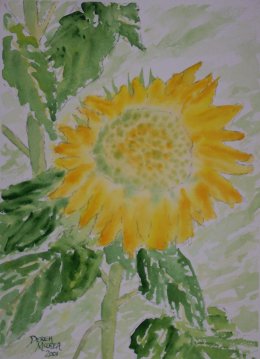 sunflower watercolor painting