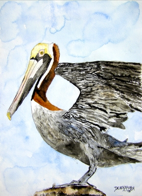 pelican bird wildlife watercolor painting